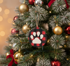 [2D FLAT ACRYLIC] "I'm Not Gay But $20 is $20" Funny Christmas Ornament | Adult Humor Gag Gift for Men