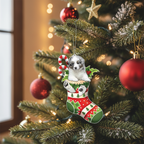 [2D FLAT ACRYLIC] Australian Shepherd Christmas Ornament | Festive Aussie in Stocking Holiday Decor & Dog Lover Gift