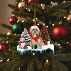 [2D FLAT ACRYLIC] Book Lover Christmas Ornament – 'A Well Read Woman' Reader Gift